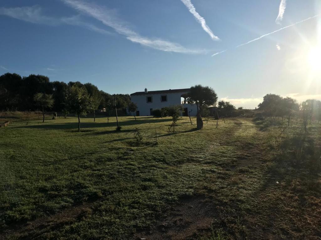 Villa Gaia Arzachena Buitenkant foto