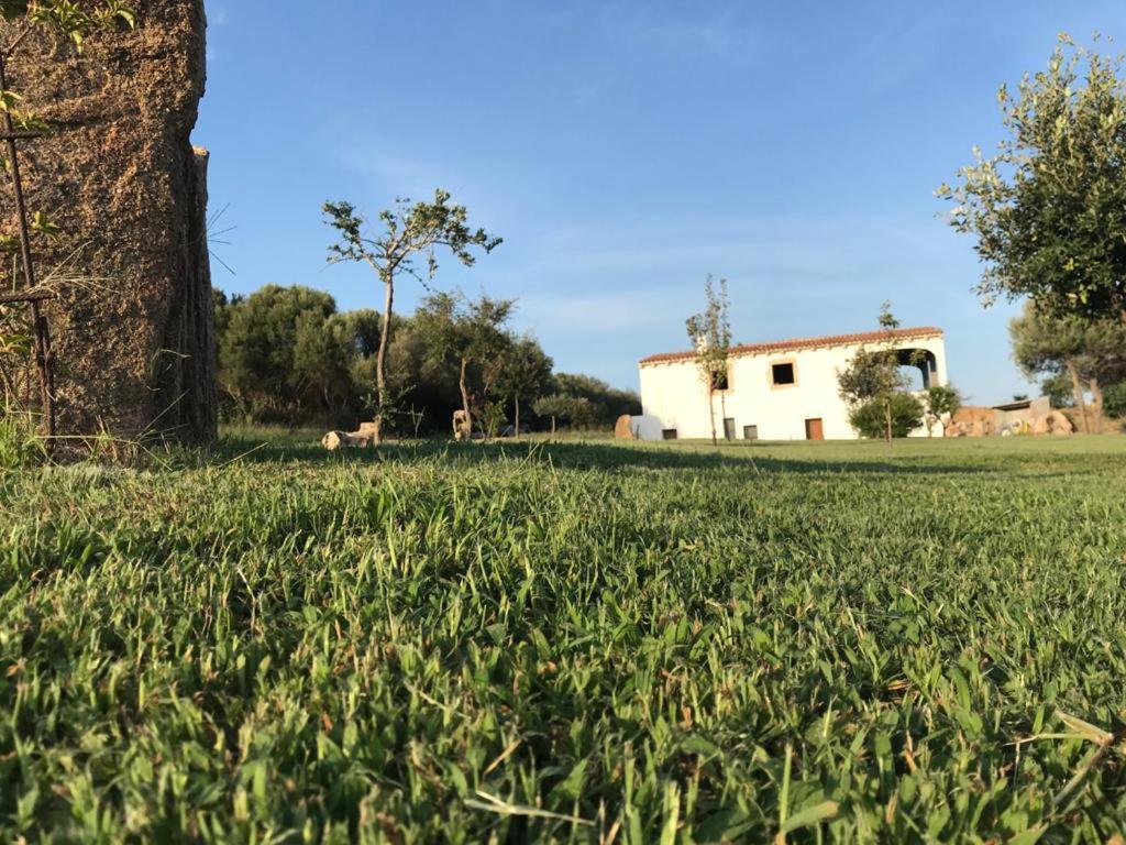 Villa Gaia Arzachena Buitenkant foto